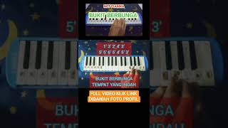 Download Lagu PIANIKA BUKIT BERBUNGA #shorts #pianika #notpianika #bukitberbunga MP3