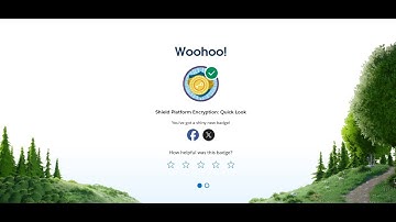 Shield Platform Encryption: Quick Look In Trailhead Salesforce