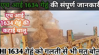 एच आई 1634 गेहूं किस्में | hi 1636 wheat variety | hi 1634 wheat variety in hindi