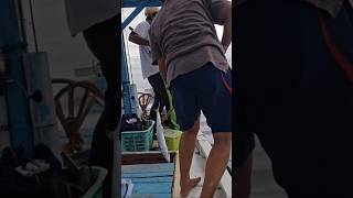 mas ham strike tenggiri yg kedua #mancing #ikantenggiri #jepara #viralshort #fyp #trending #fypp #fy