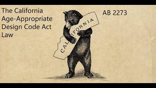What was California's Age Appropriate Design Code Act Law