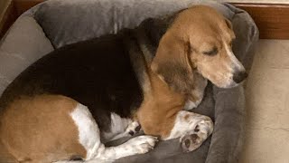 Yung Tawag Ako Ng Tawag Kay Tika Pero Ini Isnab Ako