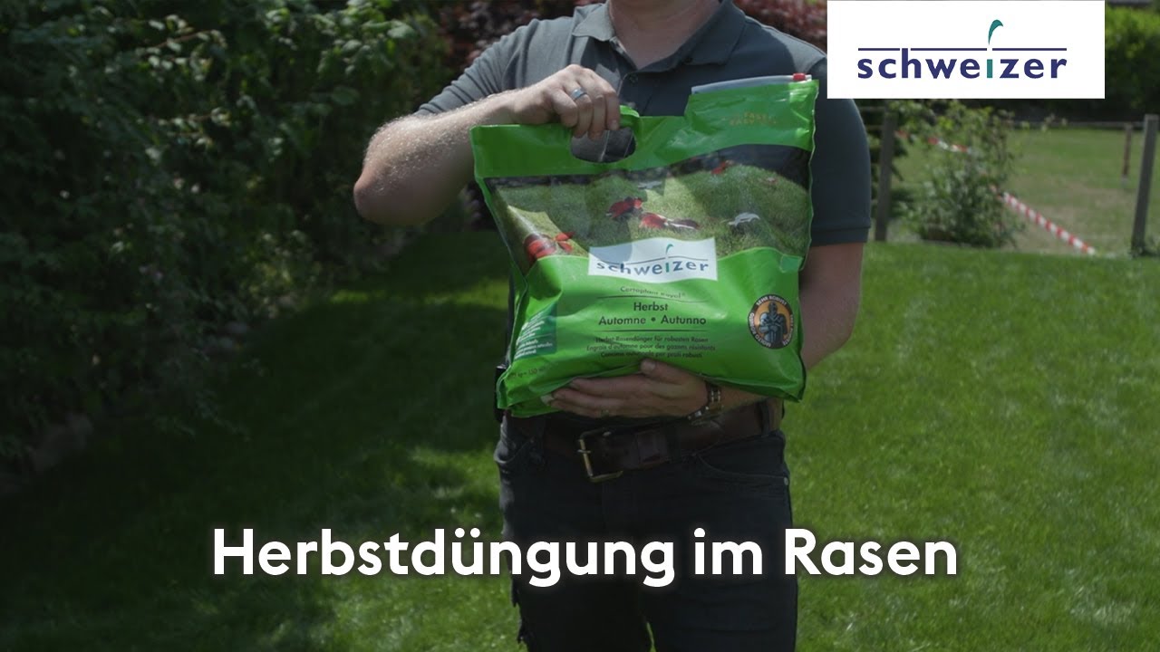 Herbstdüngung im Rasen Rasenberater Eric Schweizer AG YouTube