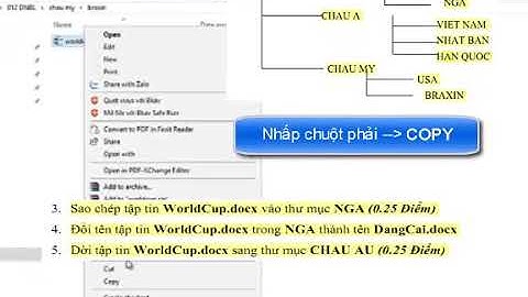 Kỹ năng CNTT Cơ bản: Các thao tác xử lý trên thư mục (Foder), Tập tin. Bài Thực hành Windows 04
