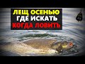 ЛЕЩ ОСЕНЬЮ. ГДЕ ИСКАТЬ И КОГДА ЛОВИТЬ