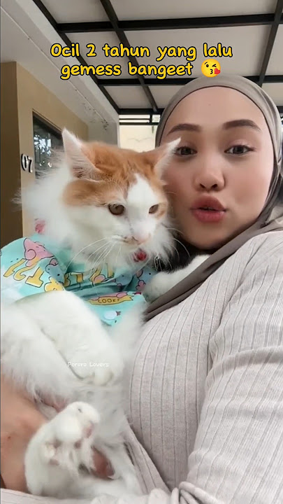 Ocil 2 years ago, so cute 😘 #pororocat #pororo #pororocats