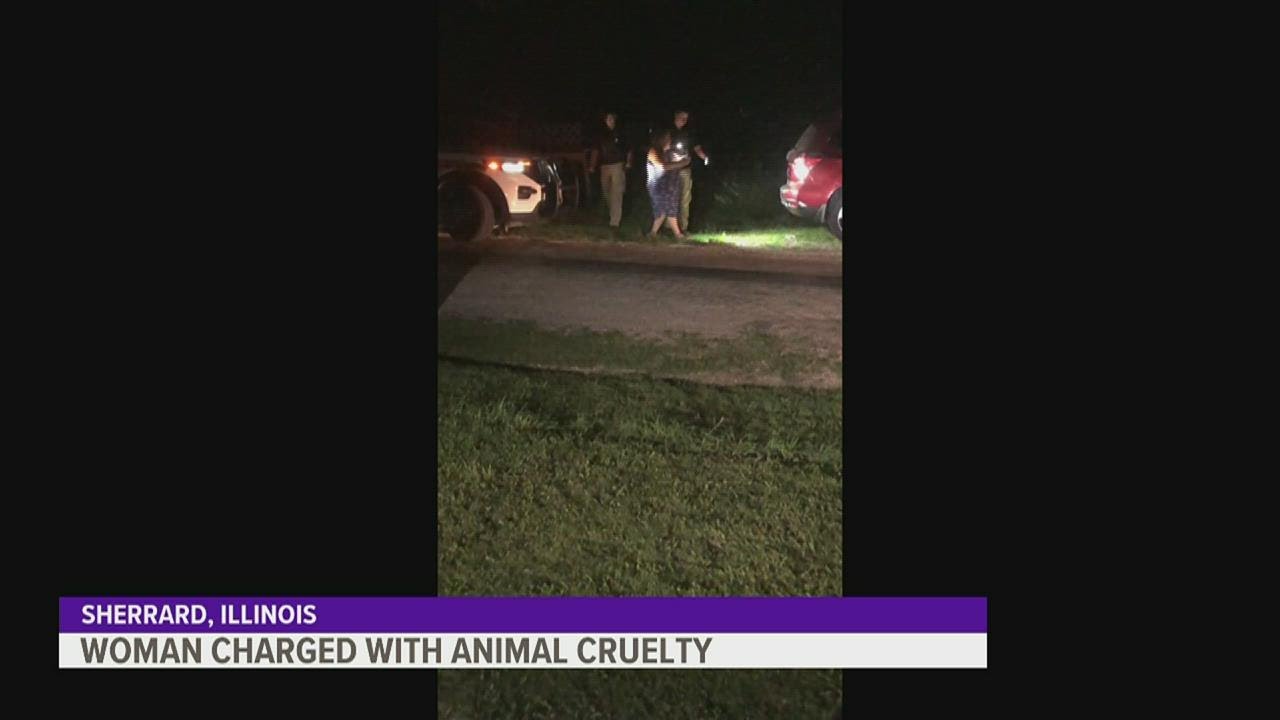 Sherrard woman arrested for animal cruelty; 198 dogs rescued from her ...