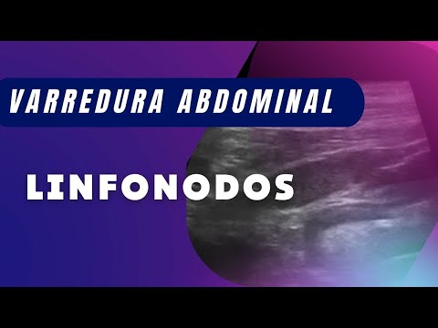 Vídeo: Malformação Linfática Retroperitoneal Em Um Cão