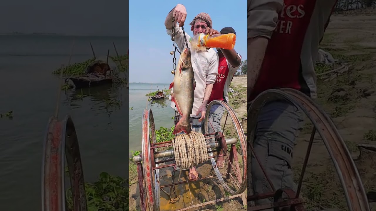 Amazing Tempting Bait for Shark Hunting 05 #fishinglife #bait