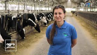 Cea mai mare fermă de vaci de lapte din România