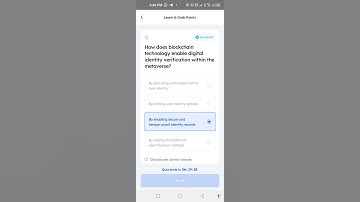 how does blockchain technology enable digital identity verification within the metaverse