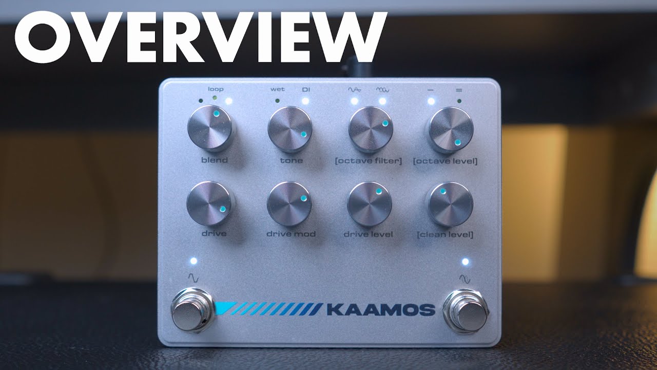 Darkglass Kaamos Bass Distortion/Octaver Pedal | Sweetwater