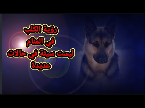 هل تعلم أن الكلب ليس في كل الحالات عدو في المنام  761