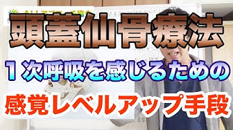 頭蓋仙骨療法 Youtube