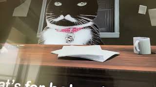 cat wars 4