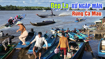 ĐẸP LẠ XỨ RỪNG NGẬP MẶN CÀ MAU - NHỊP SỐNG MIỀN SÔNG NƯỚC Ở CHỢ CẢ NẨY NĂM CĂN