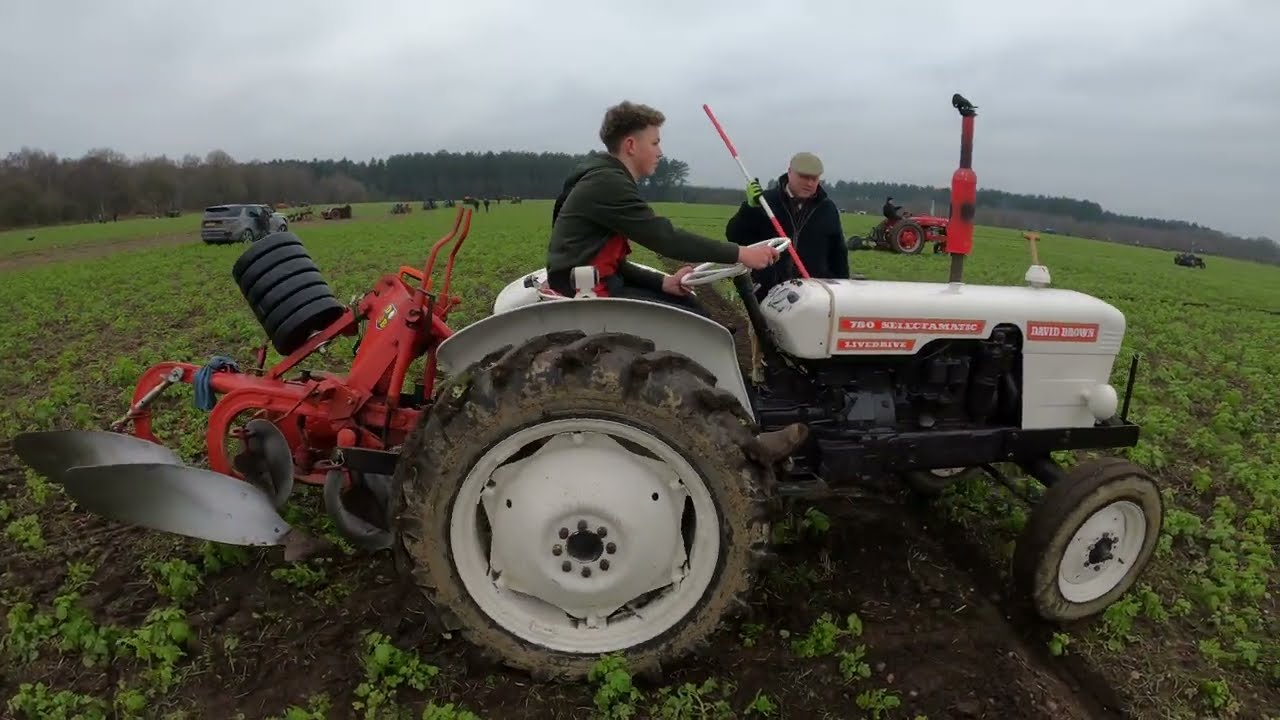 1969 David Brown 780 2.7 Litre 3-Cyl Diesel Tractor (46HP) Sherwood Forest Ploughing Match 2024