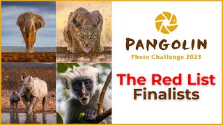 The Red List 2023 Photo Challenge Finalists