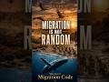 THE GREAT MIGRATION CODE TESSER