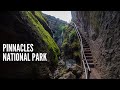 Pinnacles National Park Complete Guide: Exploring the Park's Caves + Trails on the East & West Side