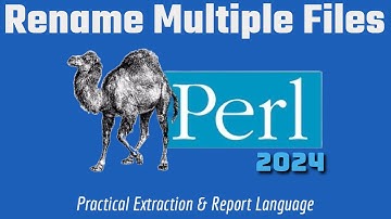 Perl Programming Made Easy: How to Rename Multiple Files Quickly Mini Project!