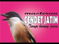 Masteran Cendet Terapi Burung Juara Mp3 - Mp4 Download