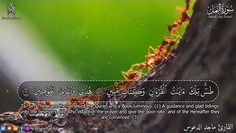 سورة النمل كاملة تلاوة هادئة تريح الاعصاب بصوت جميل جدا #قرآن #fyp #quran #سورة_النمل