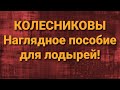 Семья Колесниковых/Новости  из Дворца.