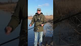 Salmo Sniper Carp #рыбалка #карповаярыбалка #карпфишинг #shorts