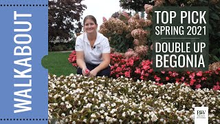 PVG Walkabout Garden Tour UPDATE: TOP PICK for 2021: DOUBLE UP Begonia