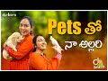 Pets     bow boww to meow meow  durga gade  strikers