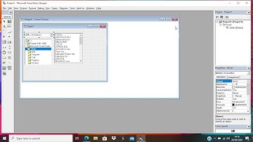 MENAMPILKAN FILE PADA VB 6.0