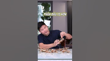 Sự khác nhau giữa sâm rừng và sâm rừng vùi - Dương Sâm #duongsam #samlaichau #boibocothe