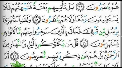 مصحف التجويد الصفحة                                   225 إبراهيم الأخضر