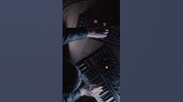 Searching new sounds!  #musicstudio #electronicmusic #composer #synth #synthesizers #moog #prophet6