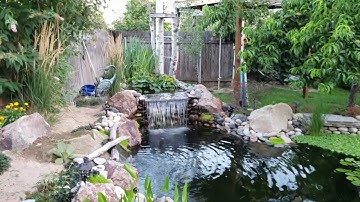 Bog/gravel filtration Koi Pond