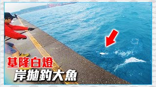 【CZB釣魚】第一次到基隆白燈釣魚，沒想到大魚連續上鉤 ... 