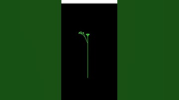 Python turtle graphic small tree growing