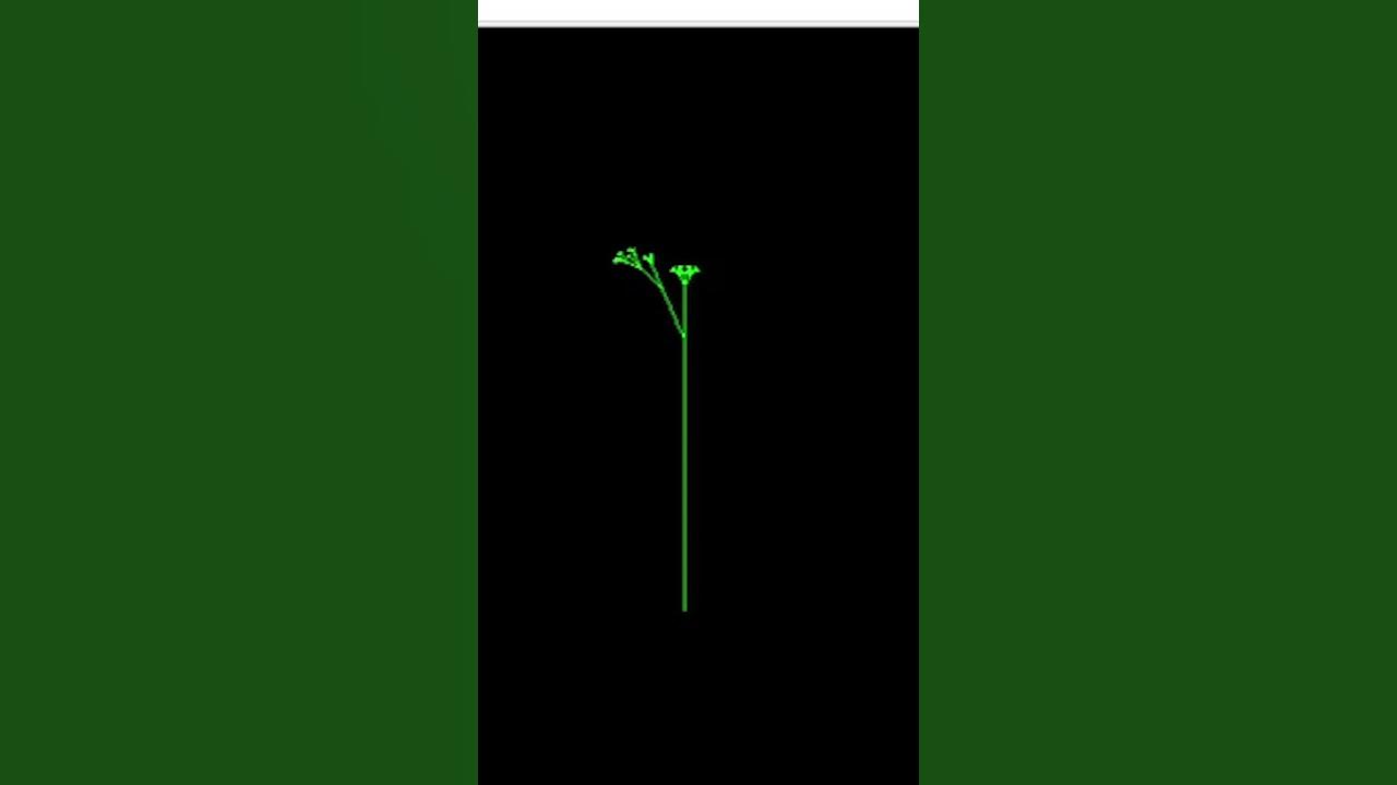 Python turtle graphic small tree growing - YouTube