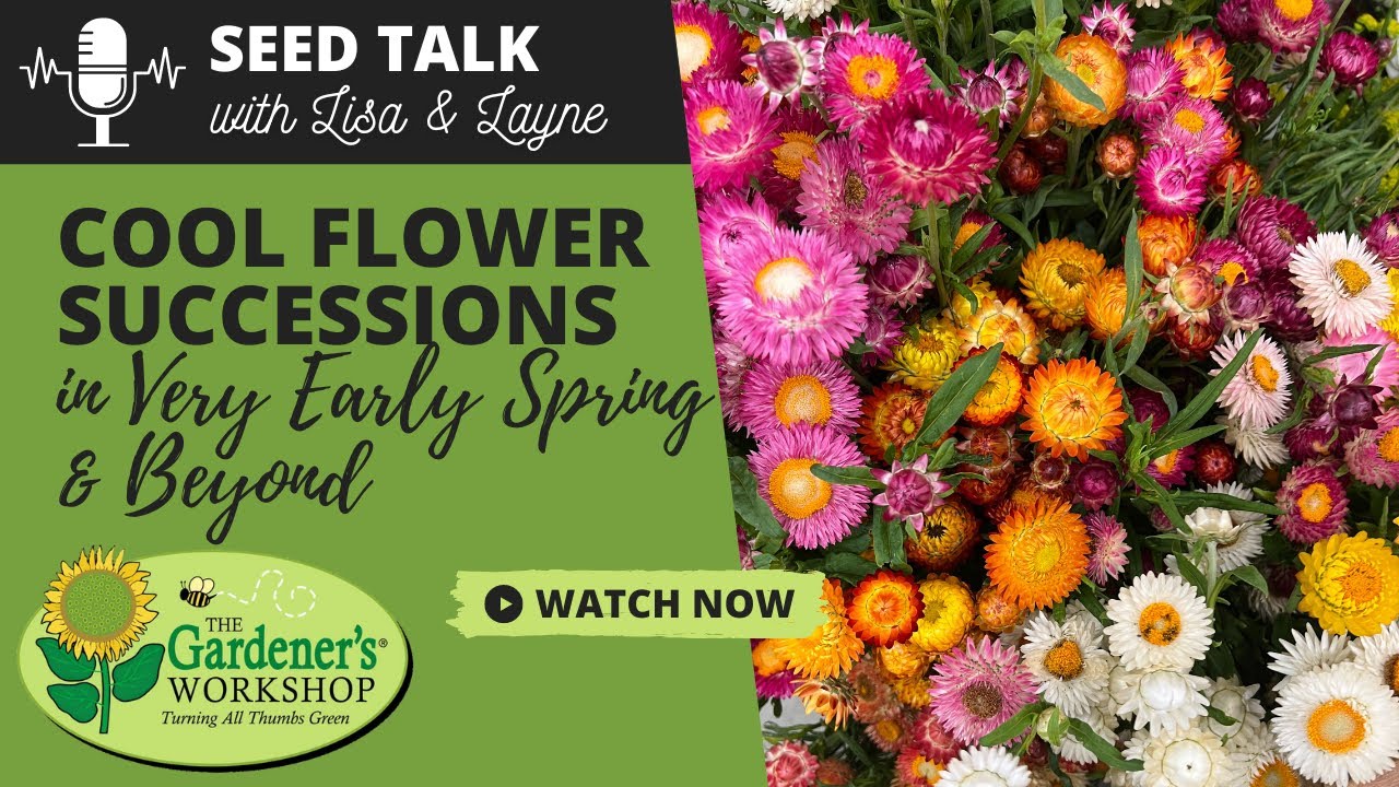 Seed Talk #75 — Посадка красивых цветов ранней весной и позже