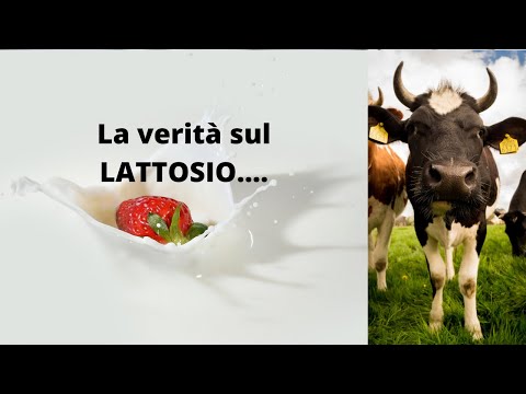 Video: 3 modi per affrontare l'intolleranza al lattosio