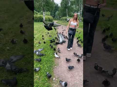 2 июля 2024 г.