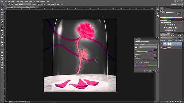 How to use Masks for Colour Splash Effect in Photoshop