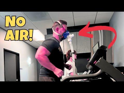 Видео: The TRUTH About Working Out (according to data)