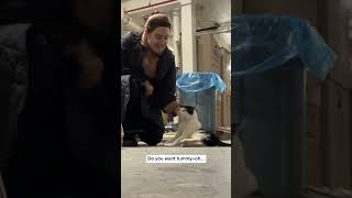 Bringing two cats in from the cold