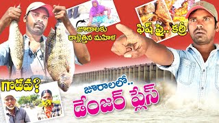 #Vlog | Jurala project Telangana | Fish curry Fish fry | pradeep thammadi zindagi