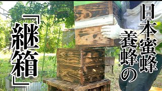 日本蜜蜂の巣箱を一段増やす「継箱」をする - YouTube