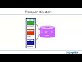 Sap basis course lec 38 transport management system tms setup