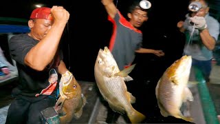 Pesta strike ikan jenaha‼