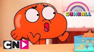 Удивительный мир Гамбола | Домашняя черепашка | Cartoon Network Удивительный мир Гамбола | Домашняя черепашка | Cartoon Network